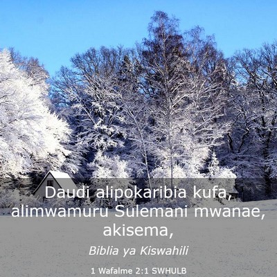 Picture 03 - 1 Wafalme 2:1 SWHULB - Daudi alipokaribia kufa, alimwamuru Sulemani - Bible Verse Picture