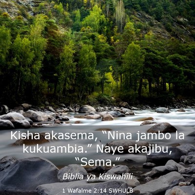 Picture 03 - 1 Wafalme 2:14 SWHULB - Kisha akasema, “Nina jambo la kukuambia.” - Bible Verse Picture