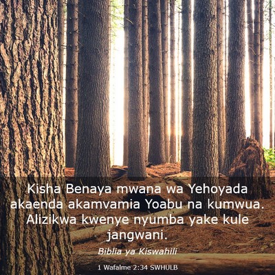 Picture 03 - 1 Wafalme 2:34 SWHULB - Kisha Benaya mwana wa Yehoyada akaenda akamvamia - Bible Verse Picture