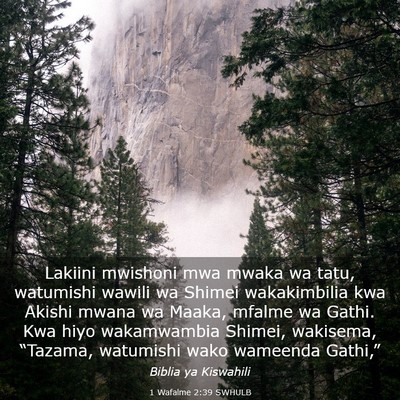 Picture 03 - 1 Wafalme 2:39 SWHULB - Lakiini mwishoni mwa mwaka wa tatu, watumishi - Bible Verse Picture