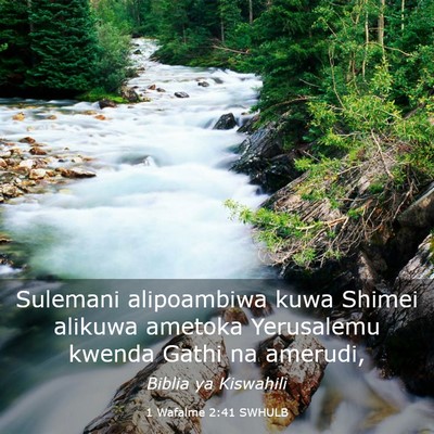 Picture 03 - 1 Wafalme 2:41 SWHULB - Sulemani alipoambiwa kuwa Shimei alikuwa ametoka - Bible Verse Picture