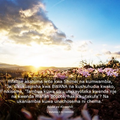 Picture 03 - 1 Wafalme 2:42 SWHULB - mfalme akatuma wito kwa Shimei na kumwambia, - Bible Verse Picture