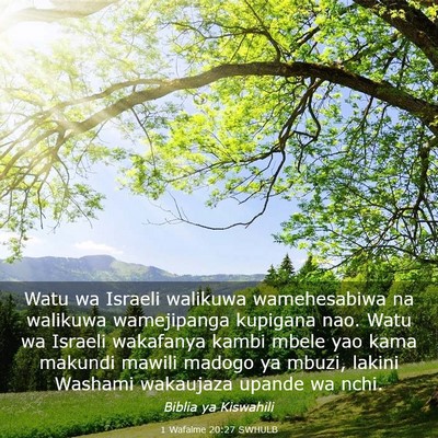 Picture 03 - 1 Wafalme 20:27 SWHULB - Watu wa Israeli walikuwa wamehesabiwa na walikuwa - Bible Verse Picture