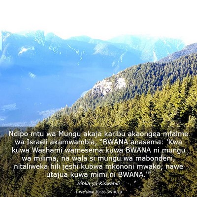 Picture 03 - 1 Wafalme 20:28 SWHULB - Ndipo mtu wa Mungu akaja karibu akaongea mfalme - Bible Verse Picture