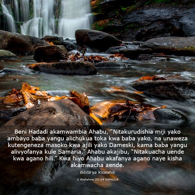 Picture 03 - 1 Wafalme 20:34 SWHULB - Beni Hadadi akamwambia Ahabu, “Nitakurudishia - Bible Verse Picture