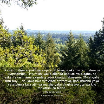 Picture 03 - 1 Wafalme 20:39 SWHULB - Ikawa mfalme alipokuwa akipita, Yule nabii - Bible Verse Picture