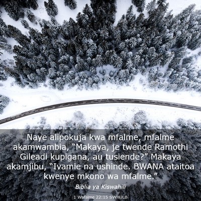 Picture 03 - 1 Wafalme 22:15 SWHULB - Naye alipokuja kwa mfalme, mfalme akamwambia, - Bible Verse Picture