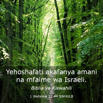 Picture 03 - 1 Wafalme 22:44 SWHULB - Yehoshafati akafanya amani na mfalme wa - Bible Verse Picture