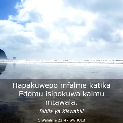 Picture 03 - 1 Wafalme 22:47 SWHULB - Hapakuwepo mfalme katika Edomu isipokuwa kaimu - Bible Verse Picture