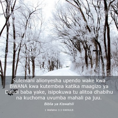 Picture 03 - 1 Wafalme 3:3 SWHULB - Sulemani alionyesha upendo wake kwa BWANA kwa - Bible Verse Picture
