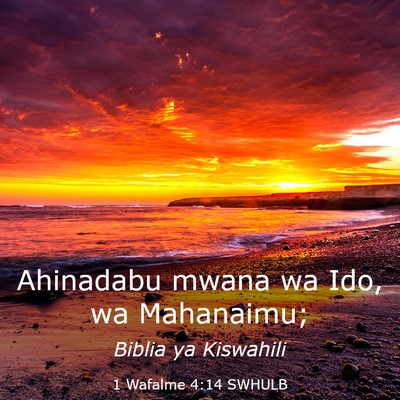 Picture 03 - 1 Wafalme 4:14 SWHULB - Ahinadabu mwana wa Ido, wa - Bible Verse Picture