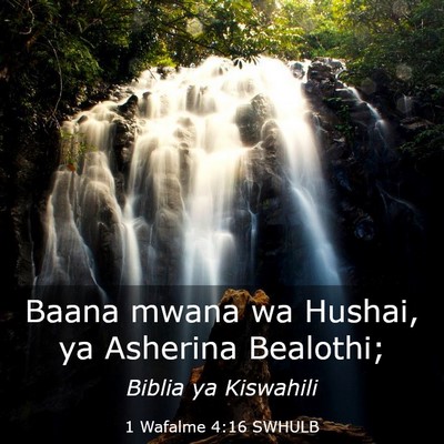 Picture 03 - 1 Wafalme 4:16 SWHULB - Baana mwana wa Hushai, ya Asherina - Bible Verse Picture