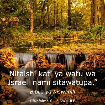 Picture 03 - 1 Wafalme 6:13 SWHULB - Nitaishi kati ya watu wa Israeli nami - Bible Verse Picture
