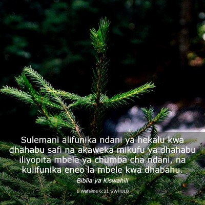Picture 03 - 1 Wafalme 6:21 SWHULB - Sulemani alifunika ndani ya hekalu kwa dhahabu - Bible Verse Picture