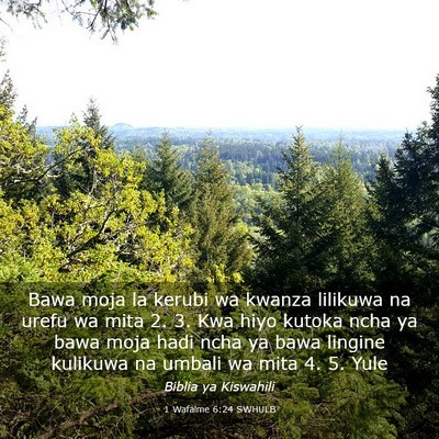 Picture 03 - 1 Wafalme 6:24 SWHULB - Bawa moja la kerubi wa kwanza lilikuwa na urefu - Bible Verse Picture