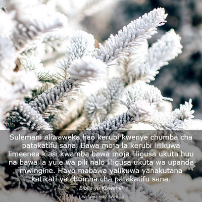 Picture 03 - 1 Wafalme 6:27 SWHULB - Sulemani aliwaweka hao kerubi kwenye chumba cha - Bible Verse Picture