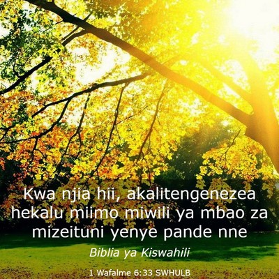 Picture 03 - 1 Wafalme 6:33 SWHULB - Kwa njia hii, akalitengenezea hekalu miimo miwili - Bible Verse Picture