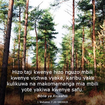 Picture 03 - 1 Wafalme 7:20 SWHULB - Hizo taji kwenye hizo nguzo mbili kwenye vichwa - Bible Verse Picture