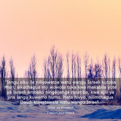 Picture 03 - 1 Wafalme 8:16 SWHULB - 'Tangu siku ile niliyowatoa watu wangu Israeli - Bible Verse Picture