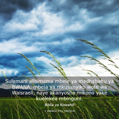 Picture 03 - 1 Wafalme 8:22 SWHULB - Sulemani alisimama mbele ya madhabahu ya BWANA, - Bible Verse Picture