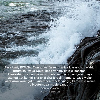 Picture 03 - 1 Wafalme 8:25 SWHULB - Sasa basi, BWANA, Mungu wa Israeli, timiza kile - Bible Verse Picture