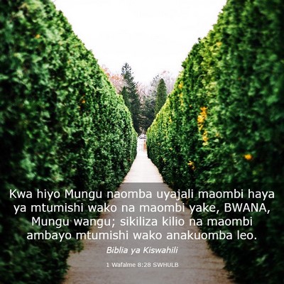 Picture 03 - 1 Wafalme 8:28 SWHULB - Kwa hiyo Mungu naomba uyajali maombi haya ya - Bible Verse Picture