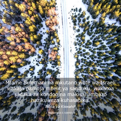 Picture 03 - 1 Wafalme 8:5 SWHULB - Mfame Sulemani na mkutano wote wa Israeli wakaja - Bible Verse Picture
