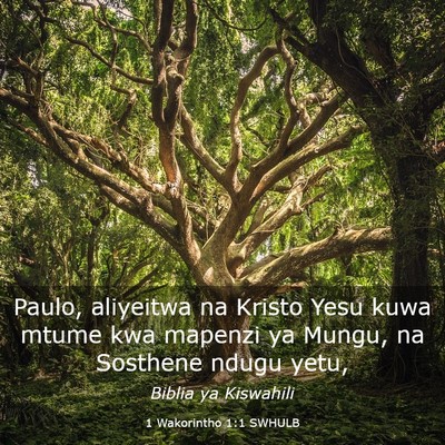 Picture 03 - 1 Wakorintho 1:1 SWHULB - Paulo, aliyeitwa na Kristo Yesu kuwa mtume kwa - Bible Verse Picture
