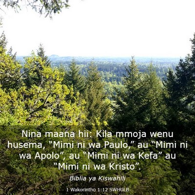 Picture 03 - 1 Wakorintho 1:12 SWHULB - Nina maana hii: Kila mmoja wenu husema, “Mimi - Bible Verse Picture