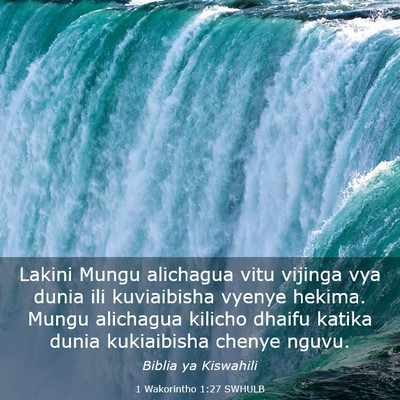 Picture 03 - 1 Wakorintho 1:27 SWHULB - Lakini Mungu alichagua vitu vijinga vya dunia ili - Bible Verse Picture