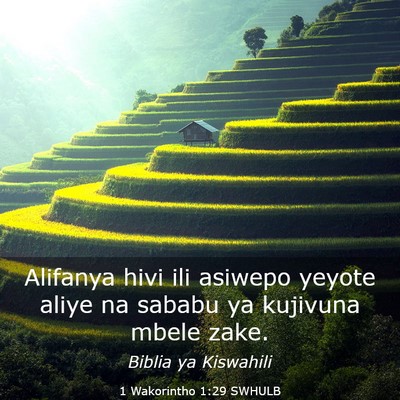 Picture 03 - 1 Wakorintho 1:29 SWHULB - Alifanya hivi ili asiwepo yeyote aliye na sababu - Bible Verse Picture