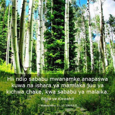 Picture 03 - 1 Wakorintho 11:10 SWHULB - Hii ndio sababu mwanamke anapaswa kuwa na ishara - Bible Verse Picture