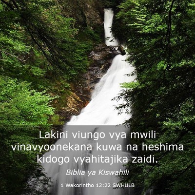 Picture 03 - 1 Wakorintho 12:22 SWHULB - Lakini viungo vya mwili vinavyoonekana kuwa na - Bible Verse Picture