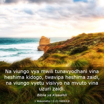 Picture 03 - 1 Wakorintho 12:23 SWHULB - Na viungo vya mwili tunavyodhani vina heshima - Bible Verse Picture