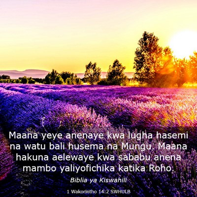 Picture 03 - 1 Wakorintho 14:2 SWHULB - Maana yeye anenaye kwa lugha hasemi na watu bali - Bible Verse Picture