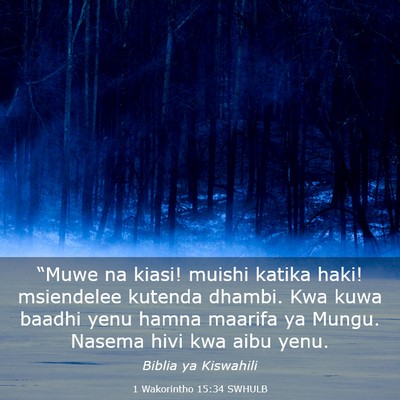 Picture 03 - 1 Wakorintho 15:34 SWHULB - “Muwe na kiasi! muishi katika haki! msiendelee - Bible Verse Picture