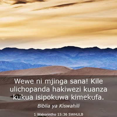 Picture 03 - 1 Wakorintho 15:36 SWHULB - Wewe ni mjinga sana! Kile ulichopanda hakiwezi - Bible Verse Picture
