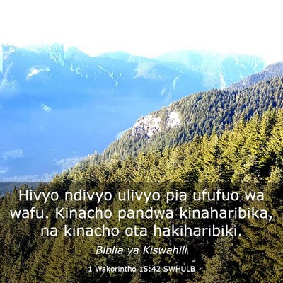 Picture 03 - 1 Wakorintho 15:42 SWHULB - Hivyo ndivyo ulivyo pia ufufuo wa wafu. Kinacho - Bible Verse Picture
