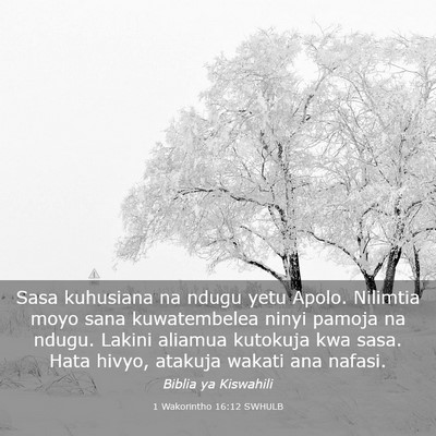 Picture 03 - 1 Wakorintho 16:12 SWHULB - Sasa kuhusiana na ndugu yetu Apolo. Nilimtia moyo - Bible Verse Picture