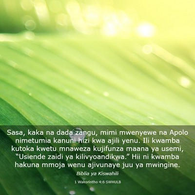 Picture 03 - 1 Wakorintho 4:6 SWHULB - Sasa, kaka na dada zangu, mimi mwenyewe na Apolo - Bible Verse Picture