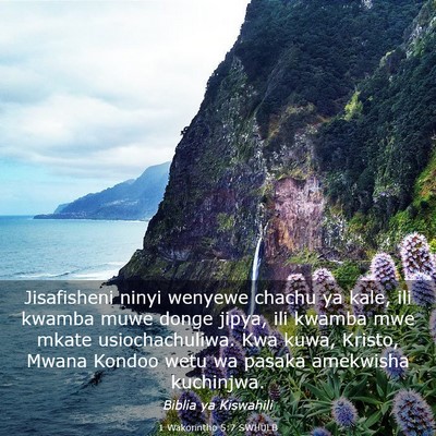 Picture 03 - 1 Wakorintho 5:7 SWHULB - Jisafisheni ninyi wenyewe chachu ya kale, ili - Bible Verse Picture