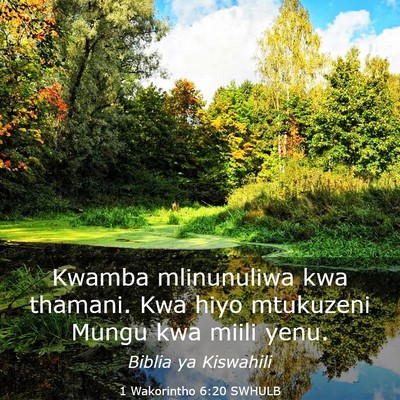 Picture 03 - 1 Wakorintho 6:20 SWHULB - Kwamba mlinunuliwa kwa thamani. Kwa hiyo - Bible Verse Picture