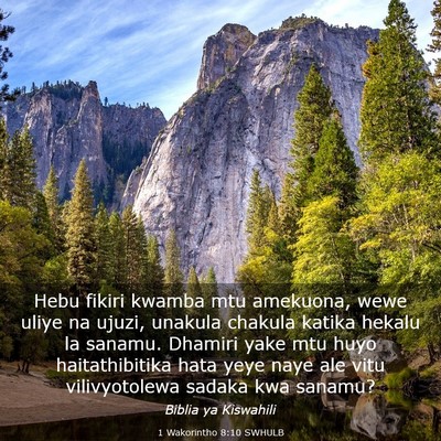 Picture 03 - 1 Wakorintho 8:10 SWHULB - Hebu fikiri kwamba mtu amekuona, wewe uliye na - Bible Verse Picture