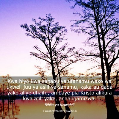 Picture 03 - 1 Wakorintho 8:11 SWHULB - Kwa hiyo kwa sababu ya ufahamu wako wa ukweli juu - Bible Verse Picture