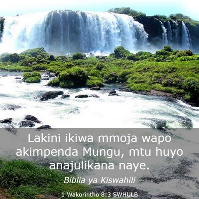 Picture 03 - 1 Wakorintho 8:3 SWHULB - Lakini ikiwa mmoja wapo akimpenda Mungu, mtu huyo - Bible Verse Picture