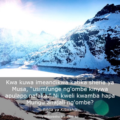 Picture 03 - 1 Wakorintho 9:9 SWHULB - Kwa kuwa imeandikwa katika sheria ya Musa, - Bible Verse Picture