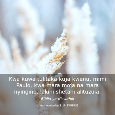 Picture 03 - 1 Wathesalonike 2:18 SWHULB - Kwa kuwa tulitaka kuja kwenu, mimi Paulo, kwa - Bible Verse Picture