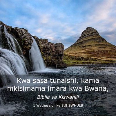 Picture 03 - 1 Wathesalonike 3:8 SWHULB - Kwa sasa tunaishi, kama mkisimama imara kwa - Bible Verse Picture