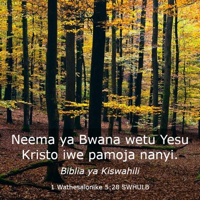 Picture 03 - 1 Wathesalonike 5:28 SWHULB - Neema ya Bwana wetu Yesu Kristo iwe pamoja - Bible Verse Picture