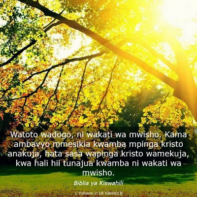Picture 03 - 1 Yohana 2:18 SWHULB - Watoto wadogo, ni wakati wa mwisho. Kama ambavyo - Bible Verse Picture